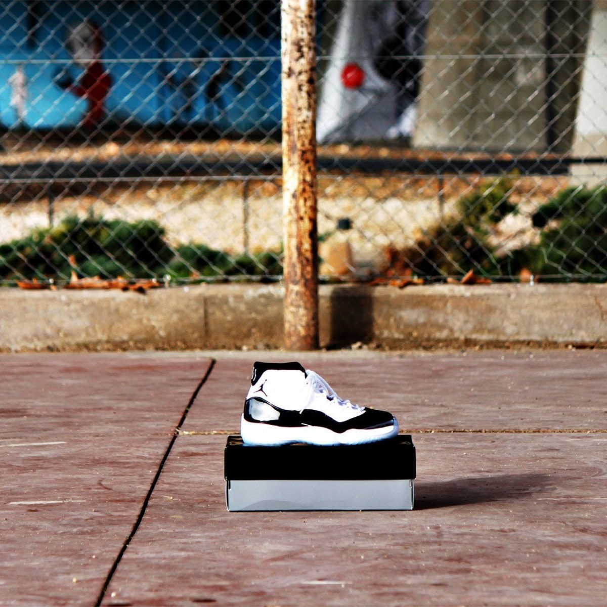 Nike Air Jordan Concord 2018
